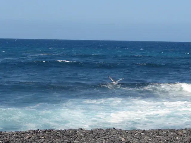 Playa de Punta Blanca beach in Tenerife, featuring a pebbly shoreline with wavy water conditions