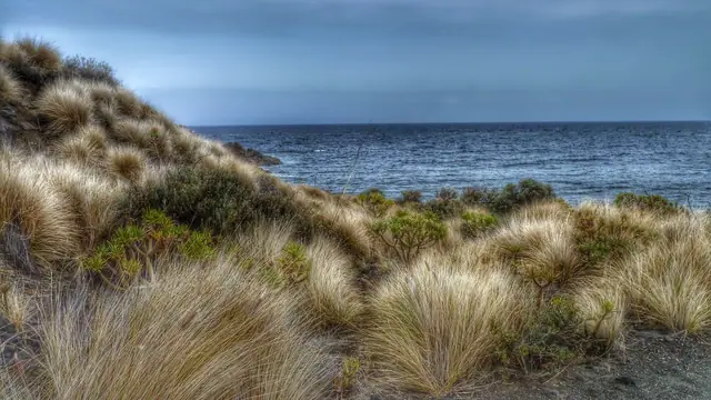 Playa de La Cangrejera beach in La Palma with wavy water conditions