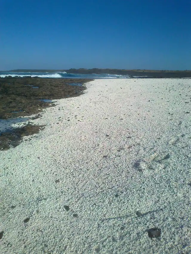 Popcorn Beach in Fuerteventura with wavy water conditions