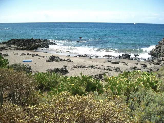 Playa de las Galletas beach in Tenerife with calm water conditions
